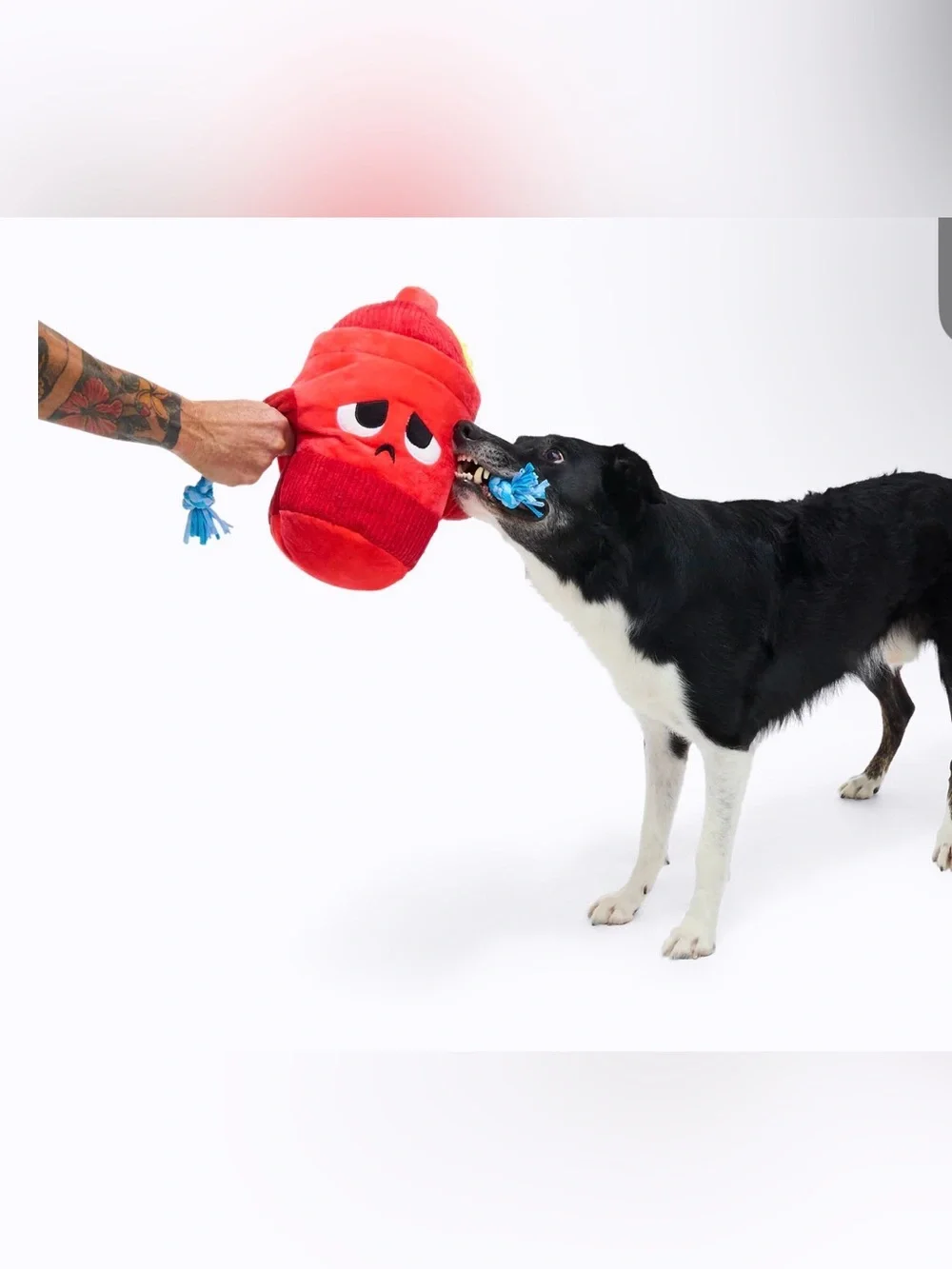 Bark Box XL Marky Mark fire hydrant with rope tug NEW